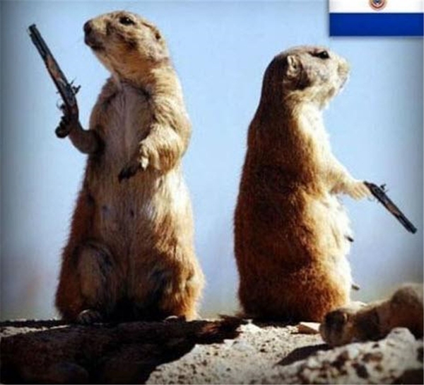 Foto - Bunları biliyor musunuz?