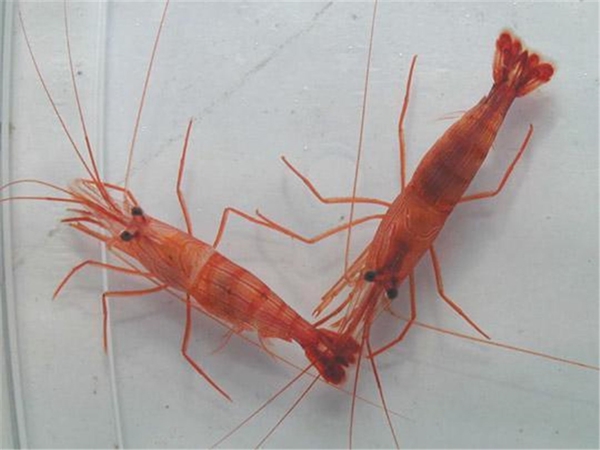 Foto - Bunları biliyor musunuz?