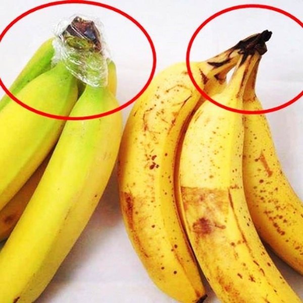 Foto - Bunları biliyor muydunuz?