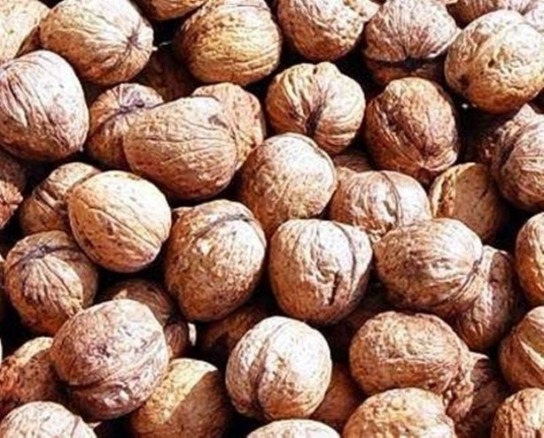 Foto - Bunları biliyor muydunuz?