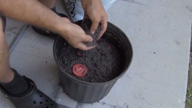 Foto - Bunları biliyor muydunuz?