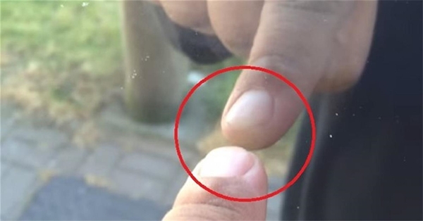 Foto - Bunları biliyor muydunuz?