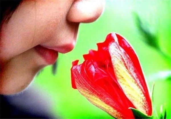 Foto - Bunları biliyor muydunuz?