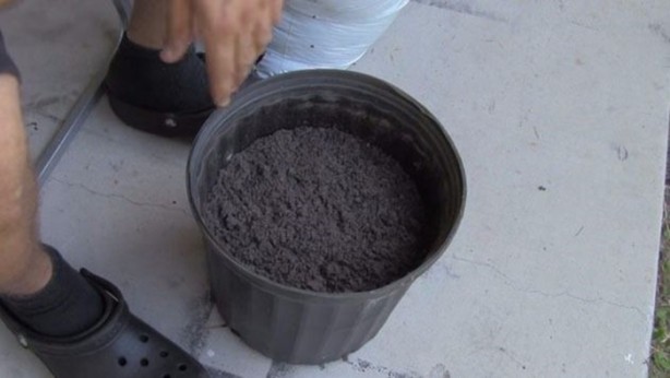 Foto - Bunları biliyor muydunuz?