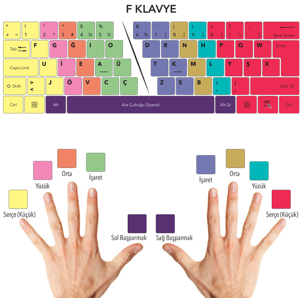 Foto - Bunları biliyor muydunuz?