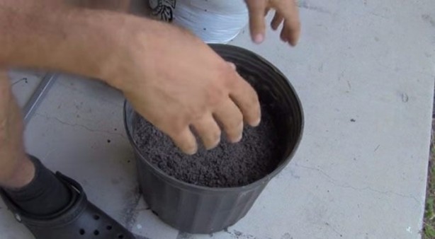 Foto - Bunları biliyor muydunuz?