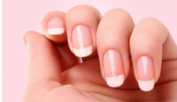 Foto - Bunları biliyor muydunuz?