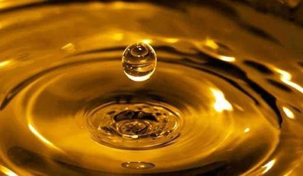 Foto - Bunları biliyor muydunuz?