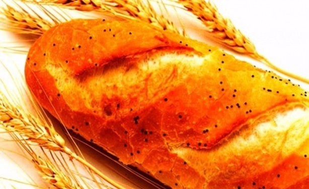 Foto - Bunları biliyor muydunuz?