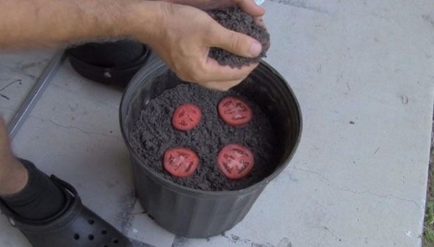 Foto - Bunları biliyor muydunuz?