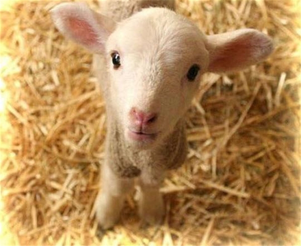 Foto - Bunları biliyor muydunuz?