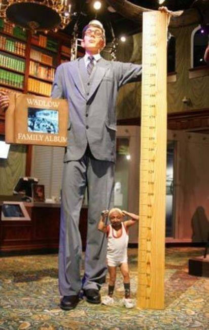 Foto - Bunları duyanlar şaşırıyor! İşte birbirinden ilginç tuhaf bilgiler…