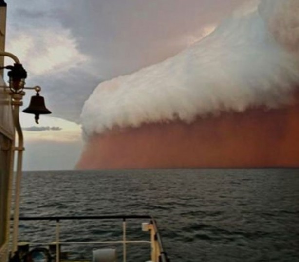 Foto - Bunları görmüş müydünüz?