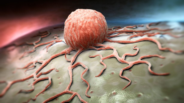 Foto - Bunları hiç bilmiyordunuz! Şeftaliyi kabuğuyla yerseniz...