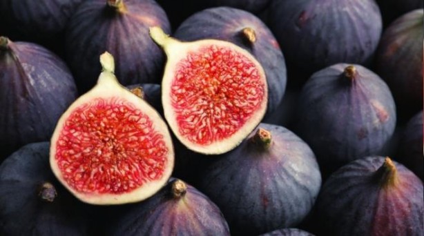 Foto - Bunları neredeyse hiç kimse bilmiyor! İncirin o faydalarını öğrenince kilo kilo alacaksınız