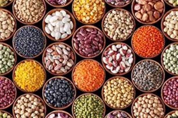 Foto - Bunları sakın yapmayın! Eğer dikkat edilmezse zehir saçıyorlar