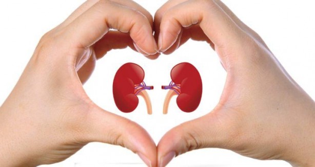 Foto - Bunları yaparsanız böbrekleriniz iflas edebilir!