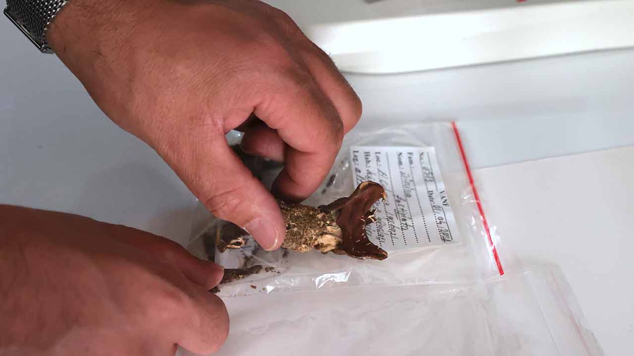 Bunları yemeyi aklınızdan bile geçirmeyin
