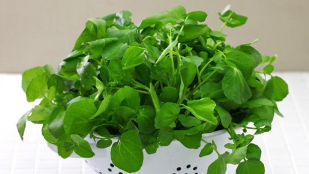 Foto - Bunları yemiyoruz fakat ya yenirse… İşte insanı tepeden tırnağa yenileyen 5 süper besin