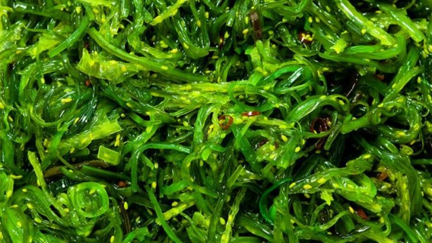 Foto - Bunları yemiyoruz fakat ya yenirse… İşte insanı tepeden tırnağa yenileyen 5 süper besin