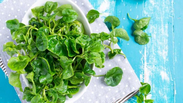 Foto - Bunları yemiyoruz fakat ya yenirse… İşte insanı tepeden tırnağa yenileyen 5 süper besin