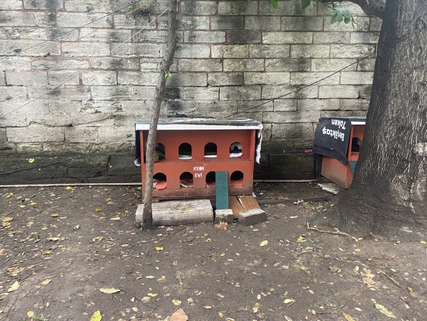 Foto - Bunu biliyor muydunuz? dünyada ilk kez Osmanlı Devleti çıkardı