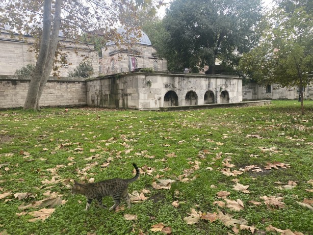 Foto - Bunu biliyor muydunuz? dünyada ilk kez Osmanlı Devleti çıkardı