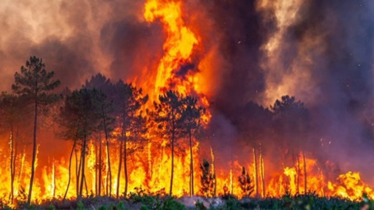 Foto - Uzman isim acı gerçeği açıkladı: Türkiye'yi 100 yıl geriye götürdüler!