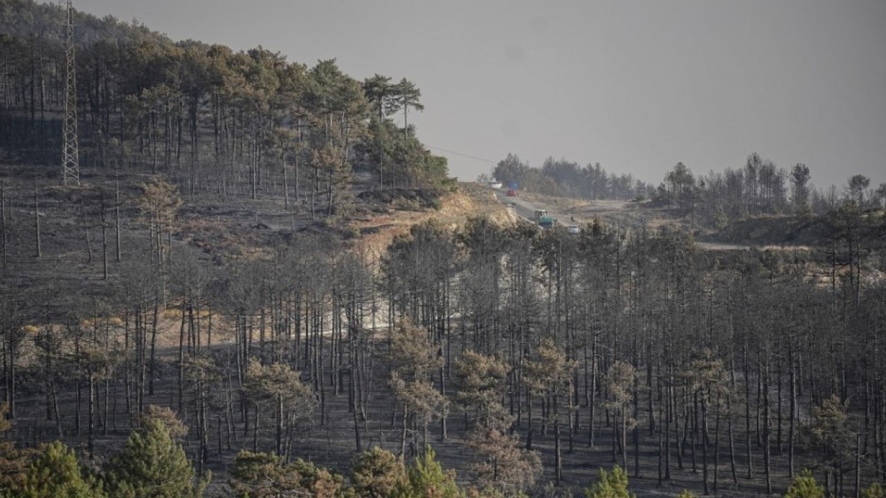 Foto - Uzman isim acı gerçeği açıkladı: Türkiye'yi 100 yıl geriye götürdüler!