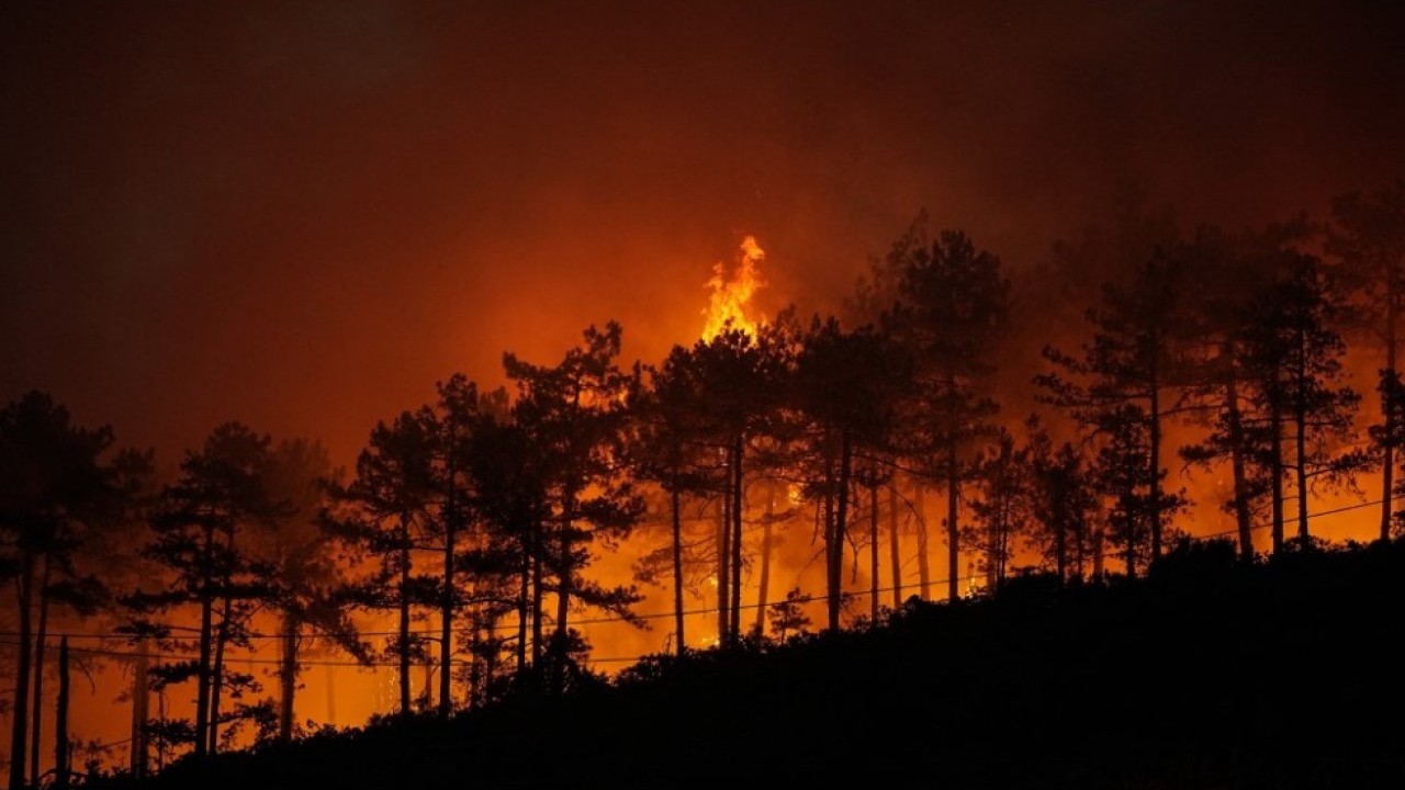 Uzman isim acı gerçeği açıkladı: Türkiye'yi 100 yıl geriye götürdüler!
