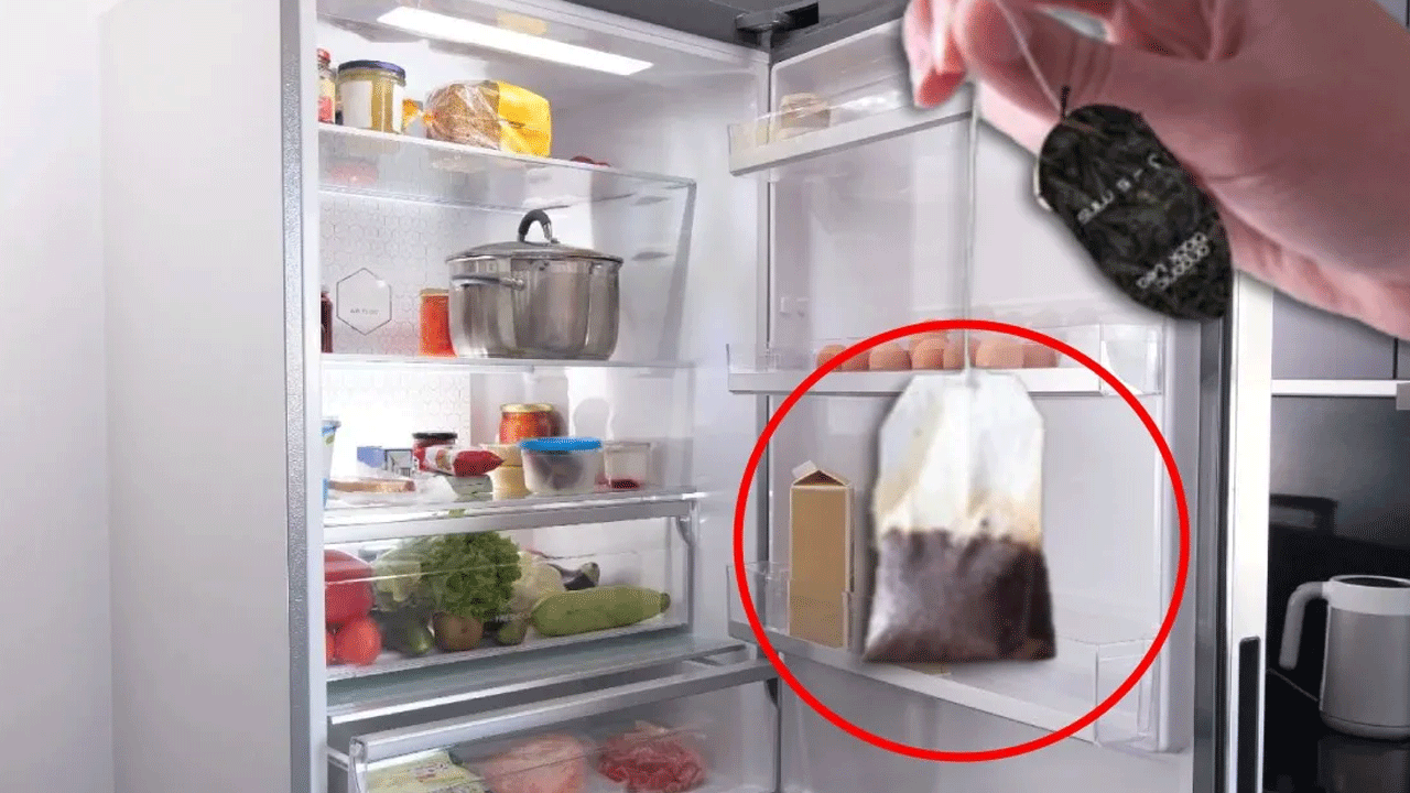 Bunu çok az kişi biliyor: Çay poşetini buzdolabına koyunca bakın ne oluyor!