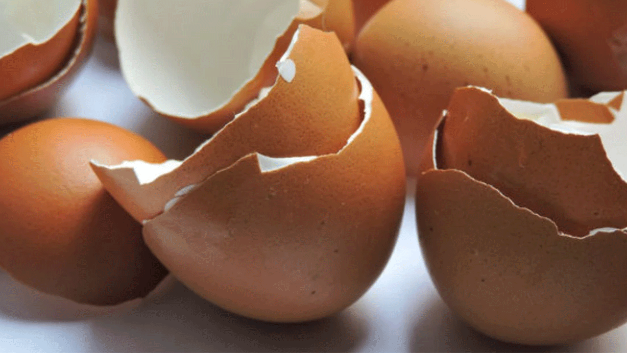 Foto - Bunu daha önce duymadınız: İşte yumurta kabuğunun bilinmeyen faydası!