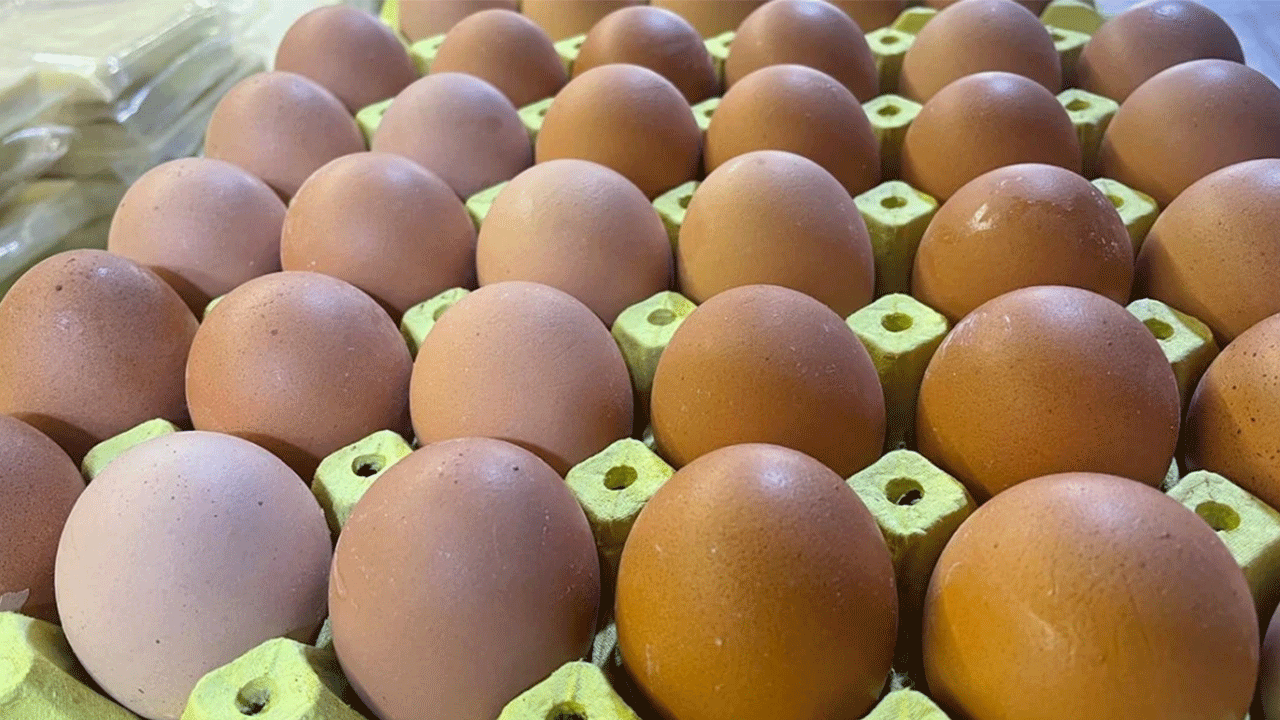 Foto - Bunu daha önce duymadınız: İşte yumurta kabuğunun bilinmeyen faydası!