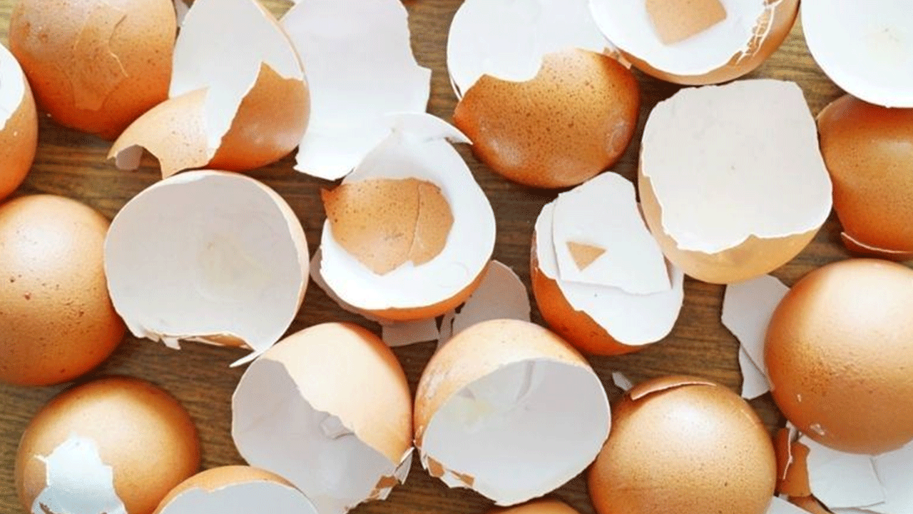 Foto - Bunu daha önce duymadınız: İşte yumurta kabuğunun bilinmeyen faydası!