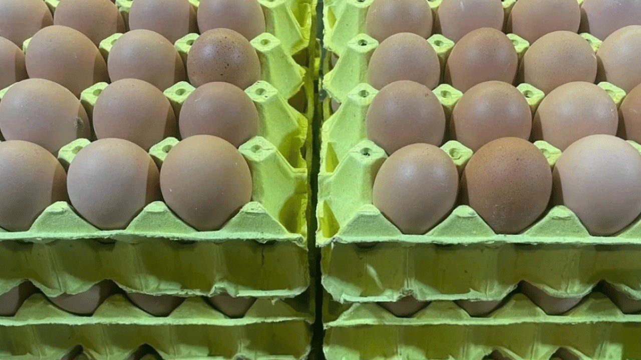 Foto - Bunu daha önce duymadınız: İşte yumurta kabuğunun bilinmeyen faydası!