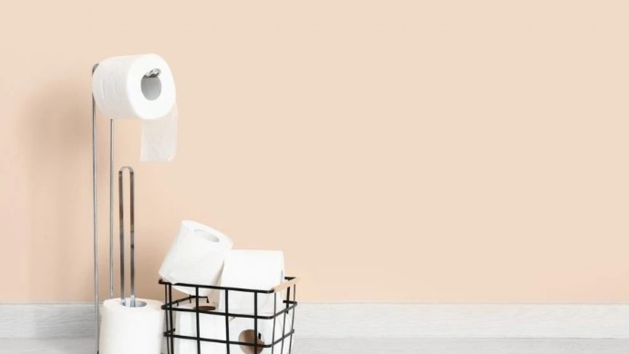 Foto - Bunu daha önce duymamış olabilirsiniz! Sivrisinekleri kökten bitiren çözüm