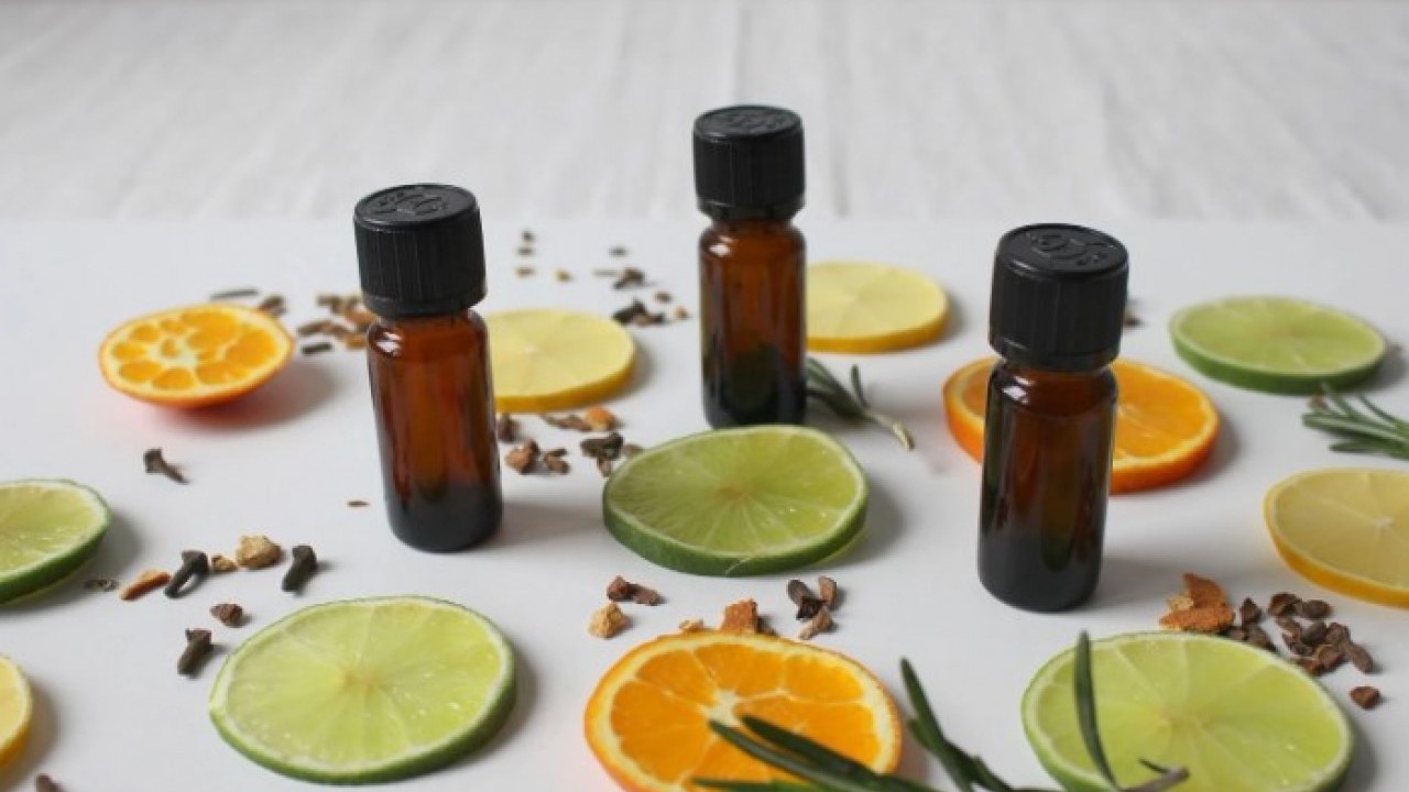 Foto - Bunu daha önce duymamış olabilirsiniz! Sivrisinekleri kökten bitiren çözüm