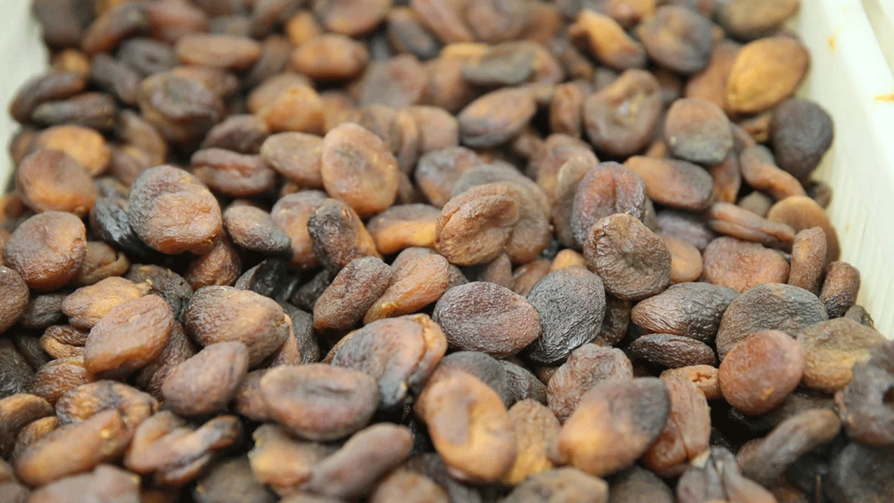 Foto - Bu kadarını kimse beklemiyordu: 2 yılda 819 milyon dolar kazandırdı!