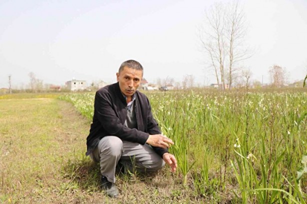 Foto - Bunu koparan yandı! Cezası 112 bin lira