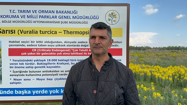 Foto - Bunu koparan yanıyor! Cezası dudak uçuklattı