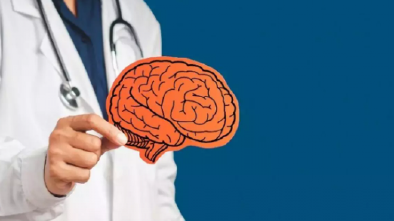 Fil gibi hafızaya sahip olabilirsiniz! Bunu mutlaka yapın!