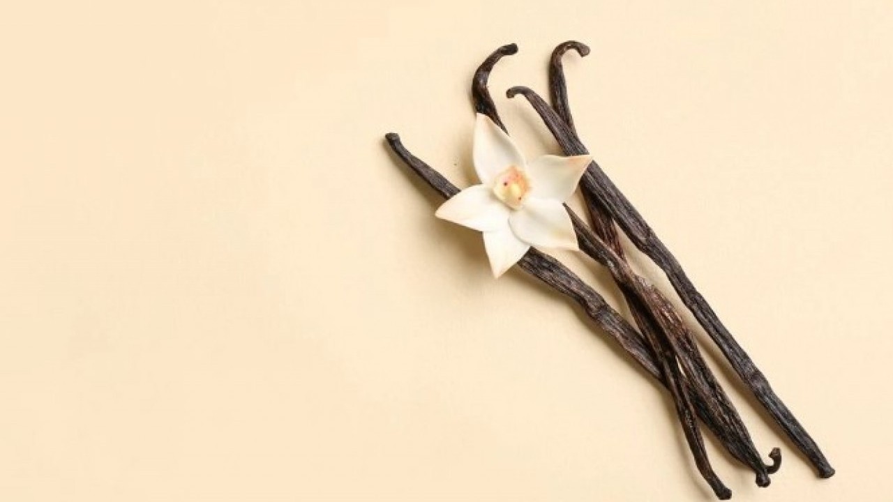 Foto - Bunu öğrenen çöpe dökmeye gidecek! Şeker kullananlar dikkat