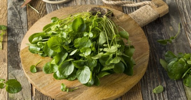 Foto - Bunu tüketen depoları fullüyor! Anne sütünü bile artırıyor! Mucizevi bir şey! Allah’ın şu işine bakın