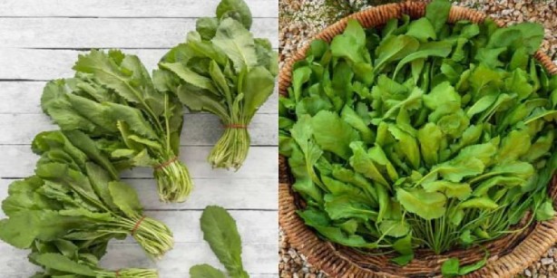 Foto - Bunu tüketen depoları fullüyor! Anne sütünü bile artırıyor! Mucizevi bir şey! Allah’ın şu işine bakın