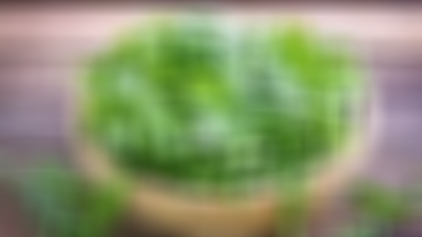 Bunu tüketen depoları fullüyor! Anne sütünü bile artırıyor! Mucizevi bir şey! Allah’ın şu işine bakın