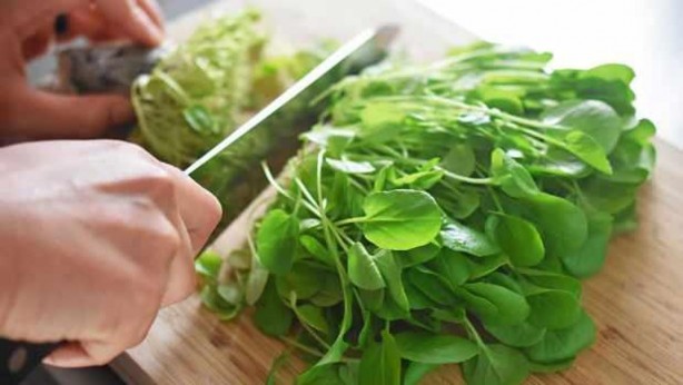 Foto - Bunu tüketen depoları fullüyor! Anne sütünü bile artırıyor! Mucizevi bir şey! Allah’ın şu işine bakın