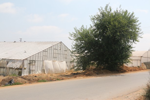 Foto - Bunu yapan insan olamaz! 10 günlük bebeği...