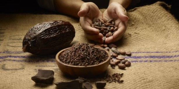 Foto - Bunu yiyenin ne beyni ne cildi yaşlanıyor! Faydalarını duyunca ağzınız bir karış açık kalacak! 1 kaşığı bin derde deva