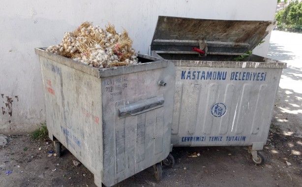 Foto - Bunun adı vicdansızlık, kilolarca sarımsak çöp konteynerine atıldı! Sebebi...