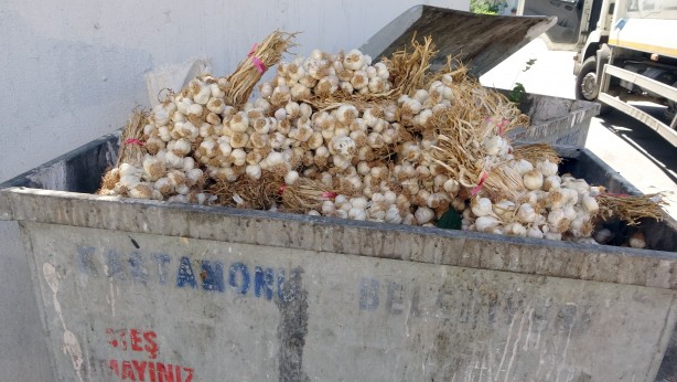 Foto - Bunun adı vicdansızlık, kilolarca sarımsak çöp konteynerine atıldı! Sebebi...
